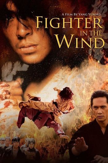 Fighter in the Wind (2004) BluRay 1080p 720p 480p Dual Audio Hindi Korean